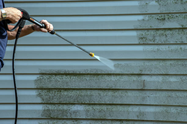Best Gutter Cleaning  in Macclenny, FL